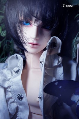 dollfie male